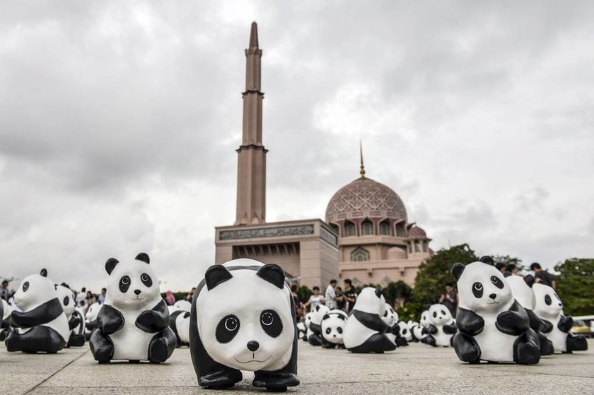 Γέμισαν Panda οι δρόμοι της Μαλαισίας