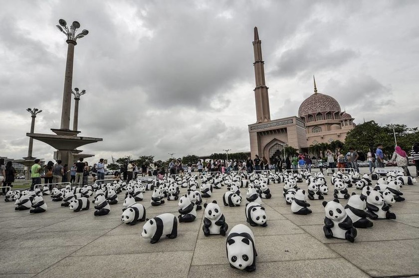 Γέμισαν Panda οι δρόμοι της Μαλαισίας