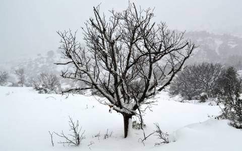 Καιρός: Νέα επέλαση του χιονιά – Θα χιονίσει στο κέντρο της Αθήνας