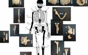Αμφίπολη-Παλαγγιά: «Υπάρχουν άλλοι 10 σκελετοί!»