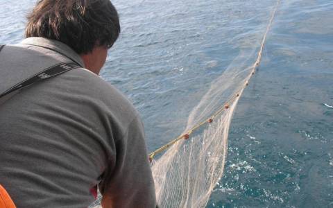 Καθορίστηκαν οι προϋποθέσεις για τον αλιευτικό τουρισμό