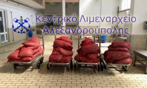 Αλεξανδρούπολη: Κατασχέθηκε μεγάλη ποσότητα ακατάλληλων οστράκων (pic)