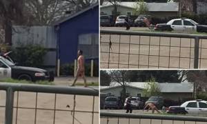 ΗΠΑ: Αστυνομικός ακινητοποιεί γυμνό με ηλεκτροσόκ στα γεννητικά όργανα! (video)