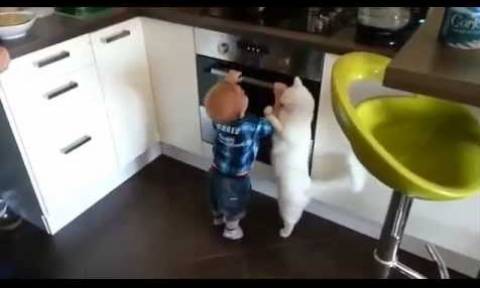 Γάτα νουθετεί νήπιο και γίνεται viral (video)