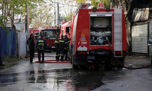 Φλώρινα: Καταστροφές δεκάδων χιλιάδων ευρώ από 35χρονο εμπρηστή