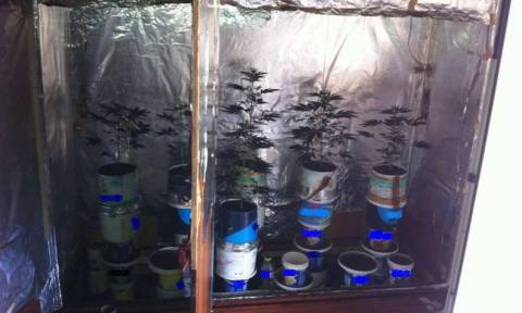 Λιβαδειά: Έκρυβε στη ντουλάπα ολόκληρο εργαστήριο καλλιέργειας κάνναβης