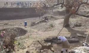 Συγκλονιστικό βίντεο: Η άνιση μάχη ενός Ινδού με μία… λεοπάρδαλη! (video)