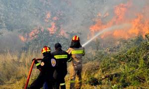 Βοιωτία: Σε εξέλιξη μεγάλη πυρκαγιά στο Παύλο