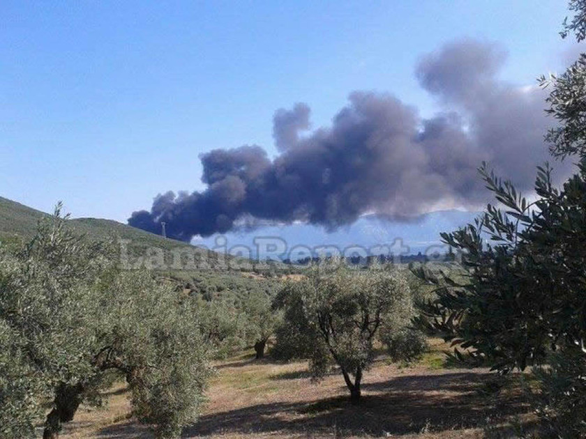 Φθιώτιδα: Μεγάλη πυρκαγιά στην Agroinvest (photos)