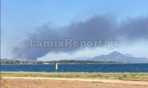 Φθιώτιδα: Μεγάλη πυρκαγιά σε εργοστάσιο με λάδια (photos)