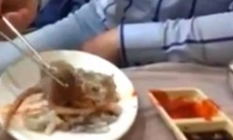 Κορεάτης δίνει «μάχη» για να φάει ένα χταπόδι… ζόμπι! (video)
