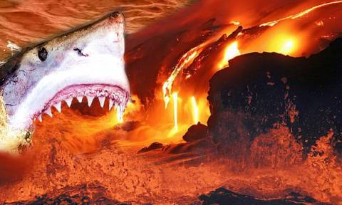 Πόσο πιο τρομακτικοί; Καρχαρίες ζουν μέσα σε… ηφαίστειο! (video)
