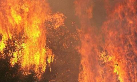 Δραματική η κατάσταση στη Λακωνία-Εκτός ελέγχου η πυρκαγιά, νεκρός ξένος υπήκοος (photos&video)