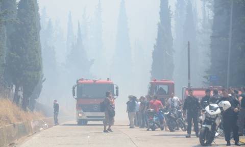 Πυρκαγιά: 52 φωτιές από το πρωί σε ολόκληρη την Ελλάδα