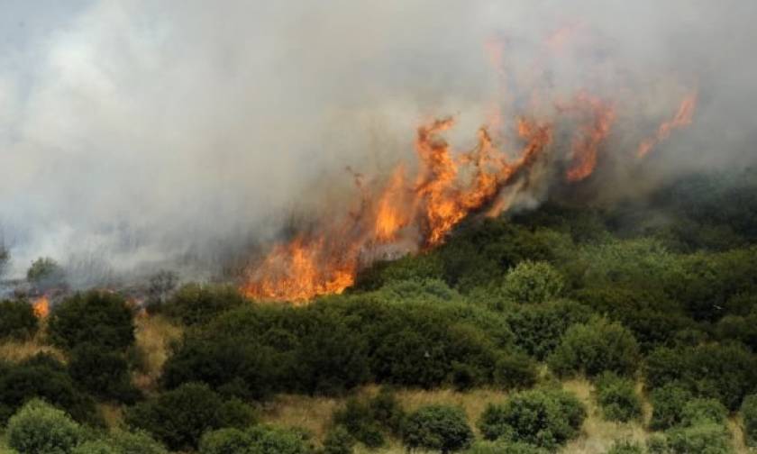 Πυρκαγιά: Αυτές είναι οι περιοχές υψηλού κινδύνου