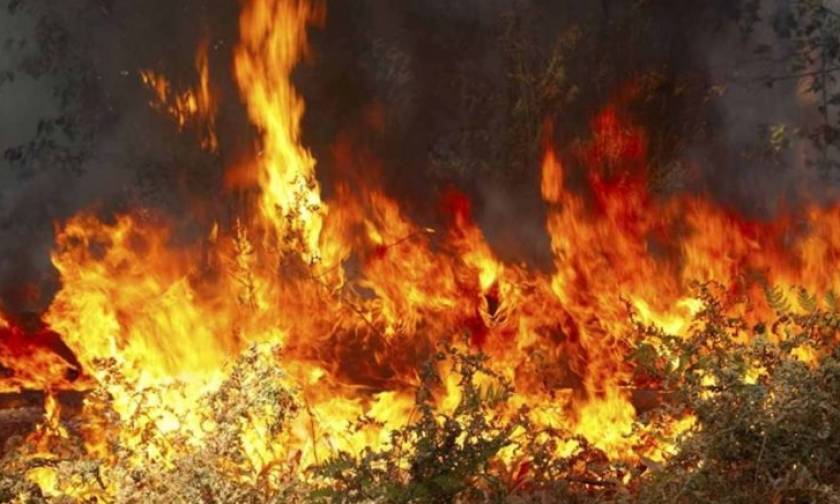 Φωτιά: Νέα μέτωπα σε Τρίπολη και Αιτωλοακαρνανία  - Σε ύφεση η πυρκαγιά στην Αργολίδα