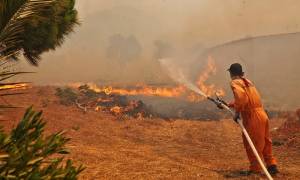 Πυρκαγιές - Λακωνία: Ανακοινώθηκαν τα μέτρα ανακούφισης των πληγέντων