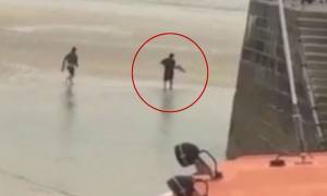 Κουβάλησε στην πλάτη του ζωντανό… καρχαρία και τον πέταξε πίσω στη θάλασσα! (video)