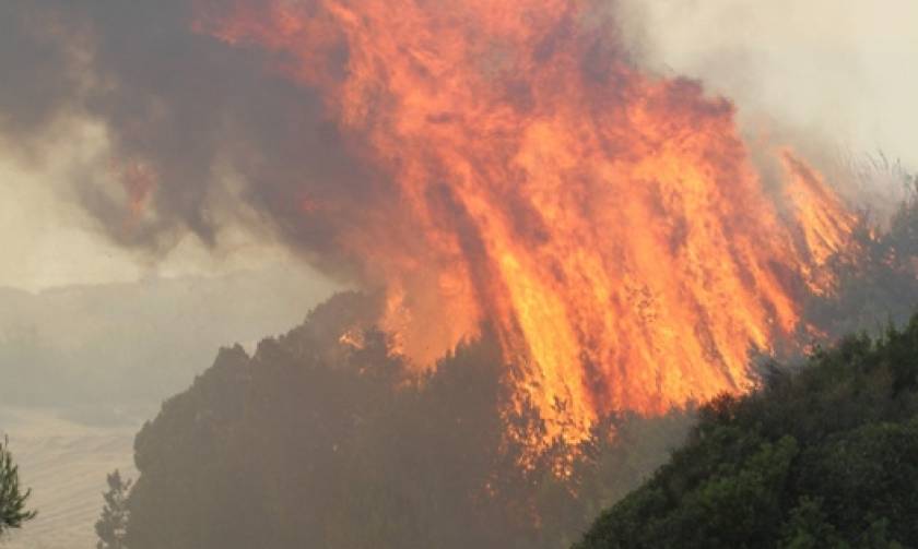 Ηλεία: Σε ύφεση η πυρκαγιά στο Κουνουπέλι Ηλείας