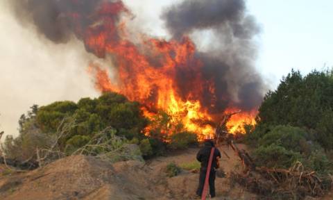 Πυρκαγιές: Καλύτερη η εικόνα σε Ερμιονίδα, Κυλλήνη και Αυλάκι