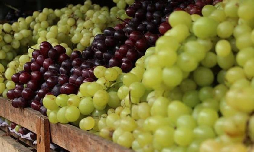 Νέες προοπτικές  από το άνοιγμα των εξαγωγών φρούτων στην Κίνα