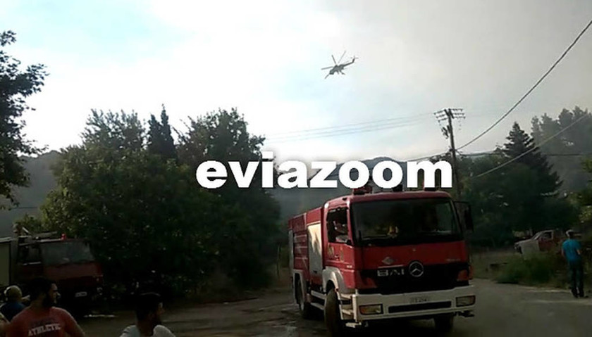 Πυρκαγιά στην Εύβοια - Γλύτωσε από τις φλόγες ο οικισμός Μακρυκάπα (video - photos)