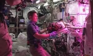Απίστευτο: Αστροναύτες τρώνε το πρώτο διαστημικό... μαρούλι! (video)