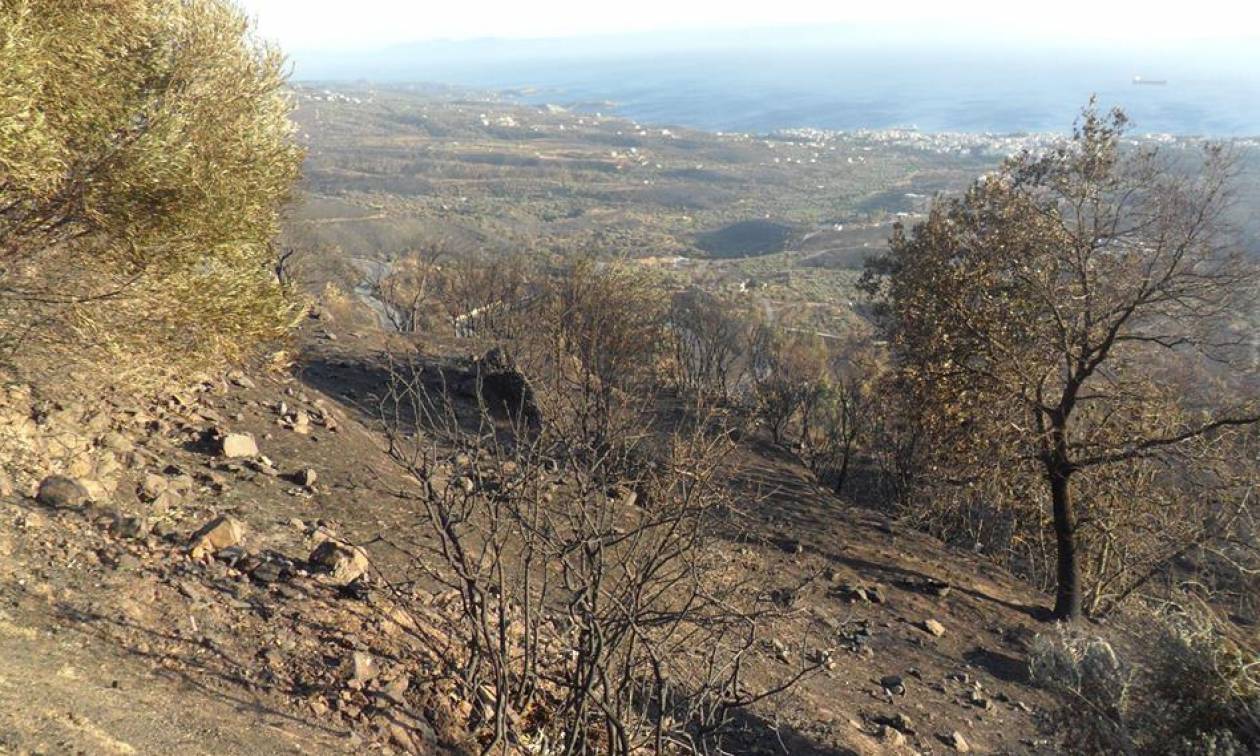 Συγκλονιστικές μαρτυρίες από τη φωτιά στη Νεάπολη - Δ. Μέντης: «Ξύπνα, έπιασε φωτιά!»