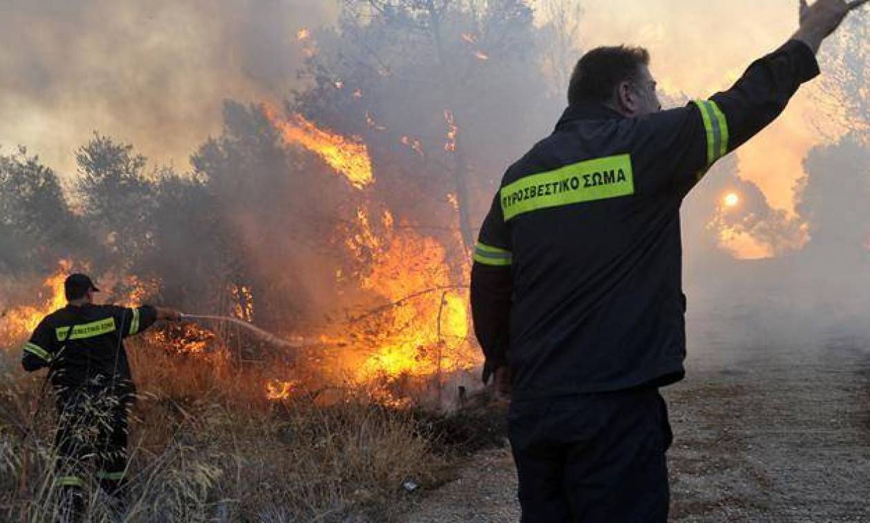 Μαίνεται το πύρινο μέτωπο στον Άραξο - Ενισχύονται οι πυροσβεστικές δυνάμεις