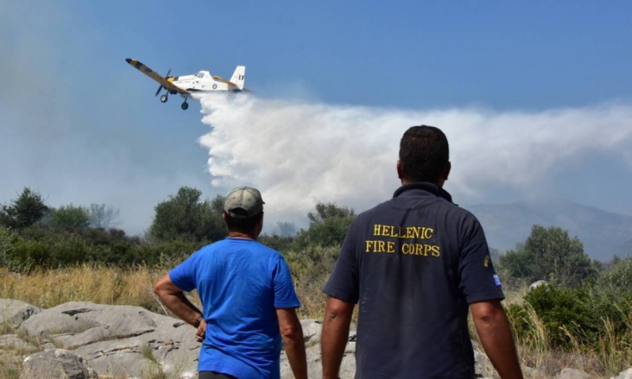 Πυρκαγιά και στη Φωκίδα