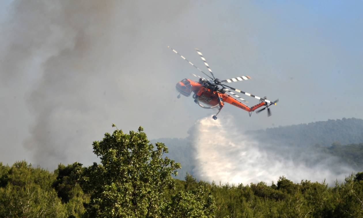 Λασίθι: Υπό μερικό έλεγχο η μεγάλη φωτιά στη Σητεία