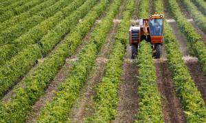 Με 2,3 εκατ. ευρώ ενισχύεται ο ελληνικός αγροτικός τομέας