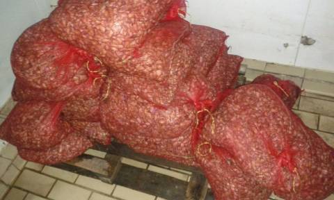 Ξάνθη: Κατάσχεση 730 κιλών οστράκων στο Πόρτο Λάγος