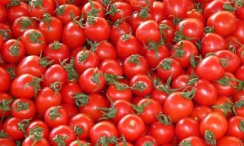 Καταγγελία για παράνομη εισαγωγή 16 τόνων ντομάτας από την Τουρκία στη Κύπρο
