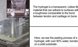 Στο MIT δημιούργησαν «σούπερ-κόλλα» αποτελούμενη κατά 90% από νερό