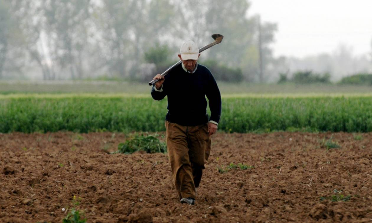 Κατέστρεψαν τους αγρότες και δίνουν και τη χαριστική βολή