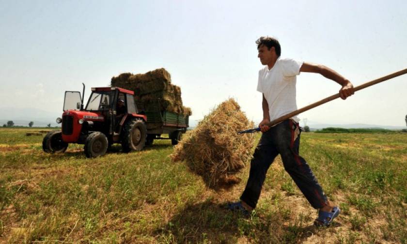 ΟΠΕΚΕΠΕ: Κάντε κλικ εδώ και δείτε αν δικαιούστε τις αγροτικές επιδοτήσεις 2015