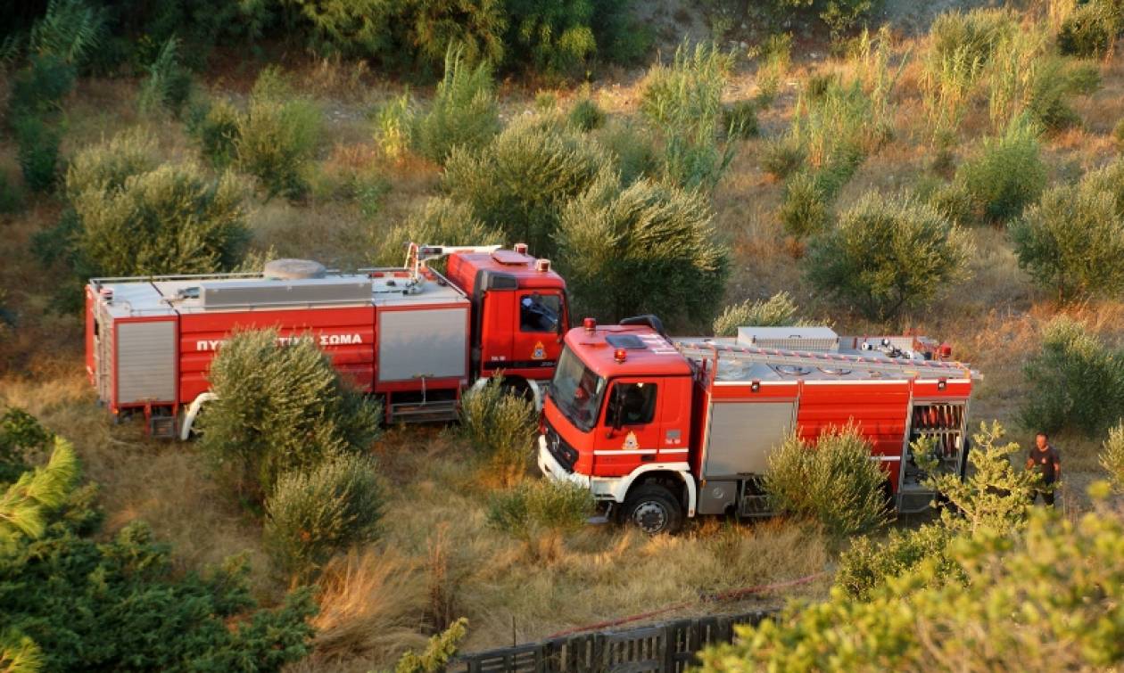 Μεγάλη φωτιά στο Ναύπλιο καίει αγροτοδασική περιοχή