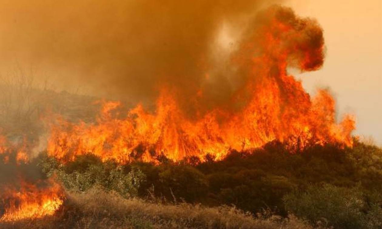 Λιγότερες ήταν οι πυρκαγιές το 2015