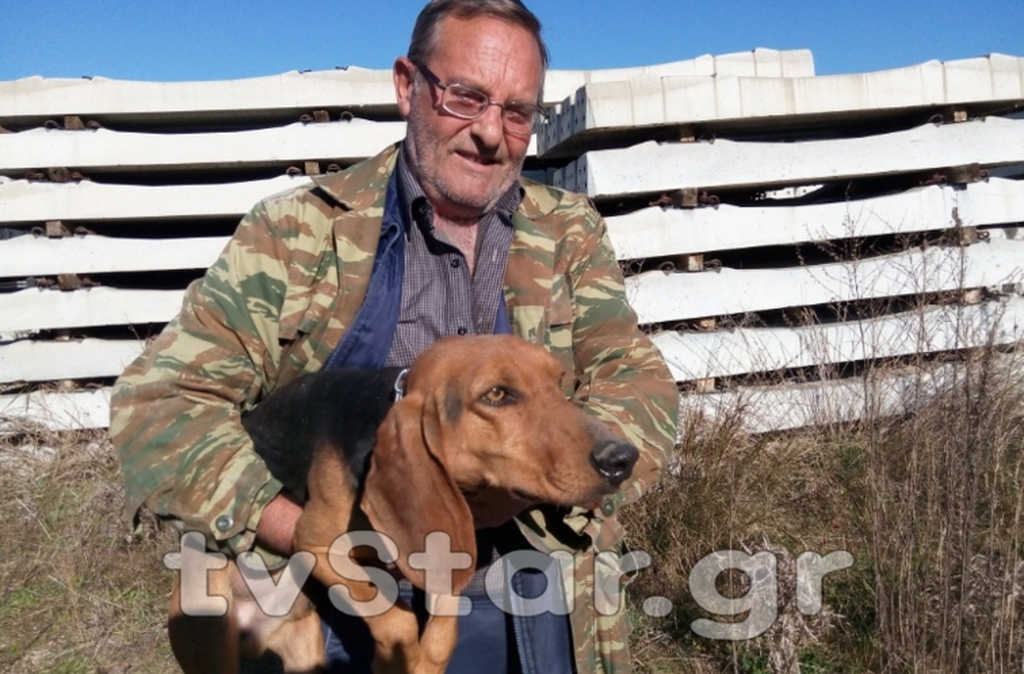 Λαμία: Έσωσαν κυνηγόσκυλο που είχε παγιδευτεί σε εργοτάξιο! (pics&vid)
