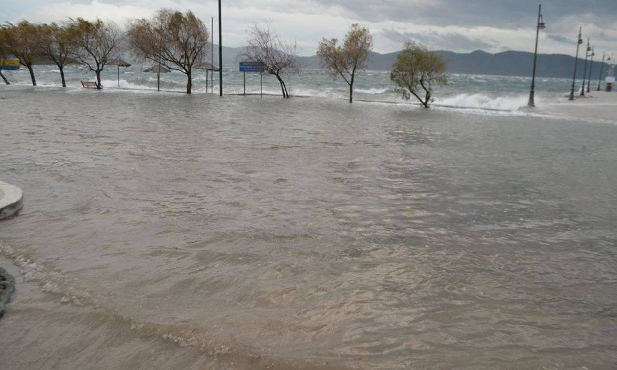 Κακοκαιρία - Γλύφα: Η θάλασσα βγήκε στην στεριά (vid&pics)