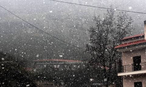 Χιονιάς εξπρές στην Αττική: Πρόβλεψη του καιρού από τον Τάσο Αρνιακό