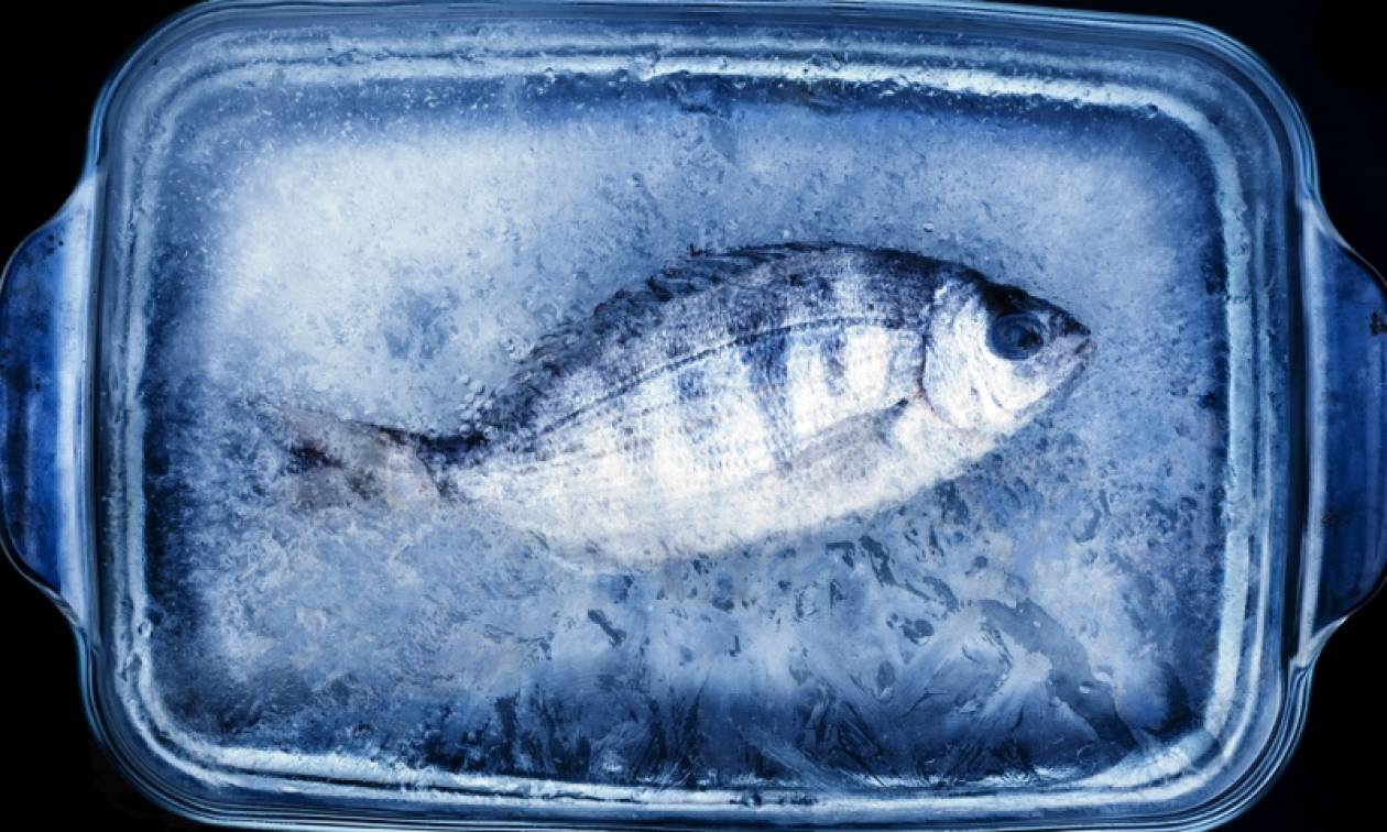 Frozen steam fish фото 112