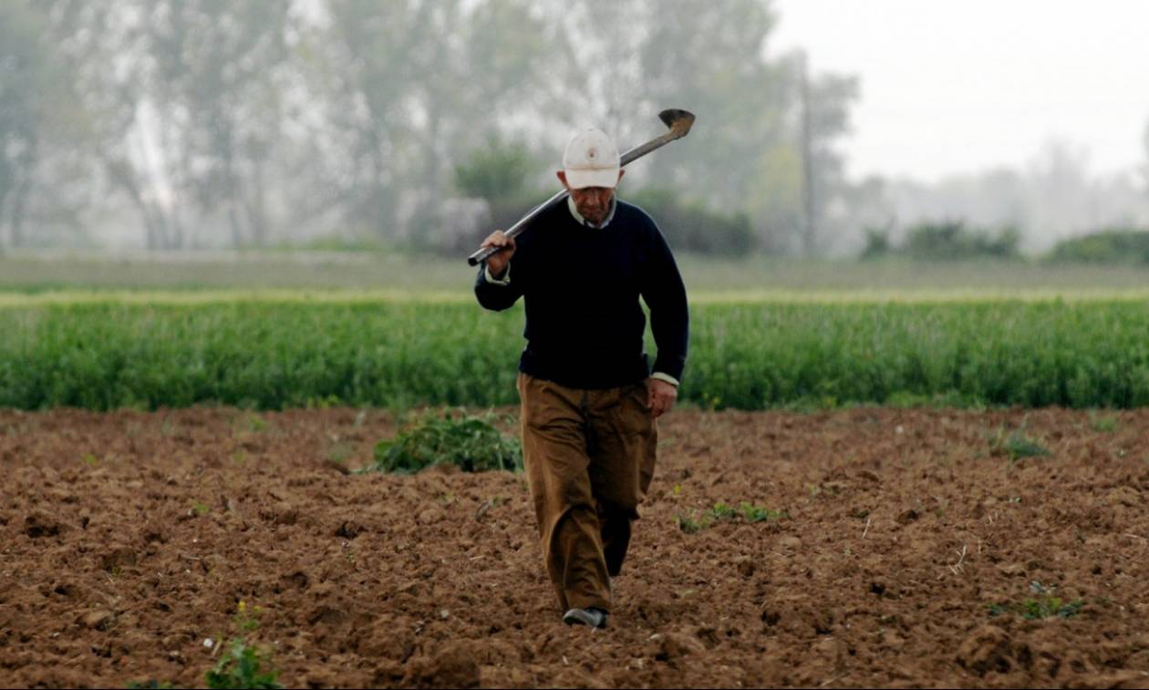 Πότε καταβάλλονται από τον ΕΛΓΑ οι αποζημιώσεις για ζημιές σε αγρότες