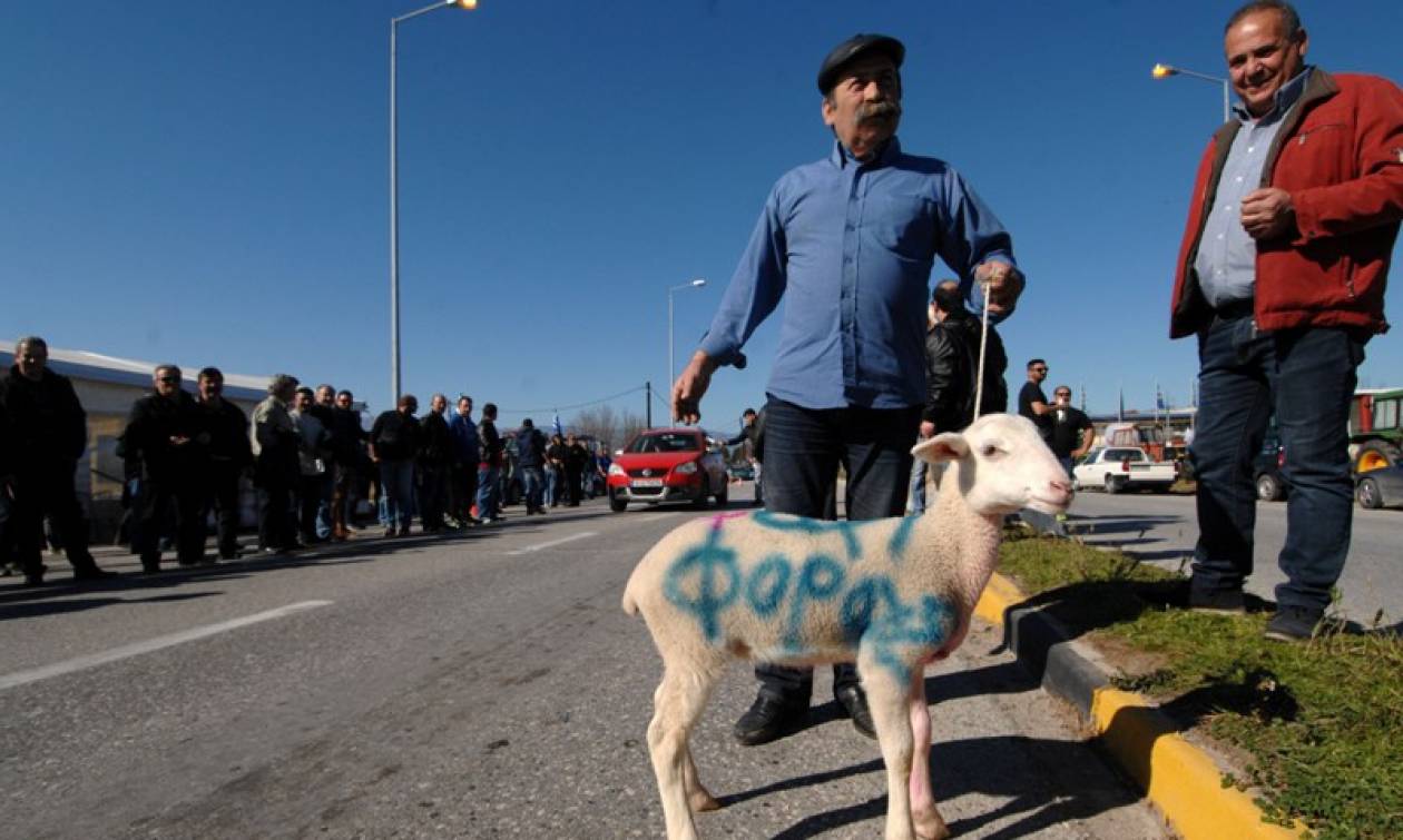 Νέο κύκλο κινητοποιήσεων προαναγγέλλουν οι κτηνοτρόφοι