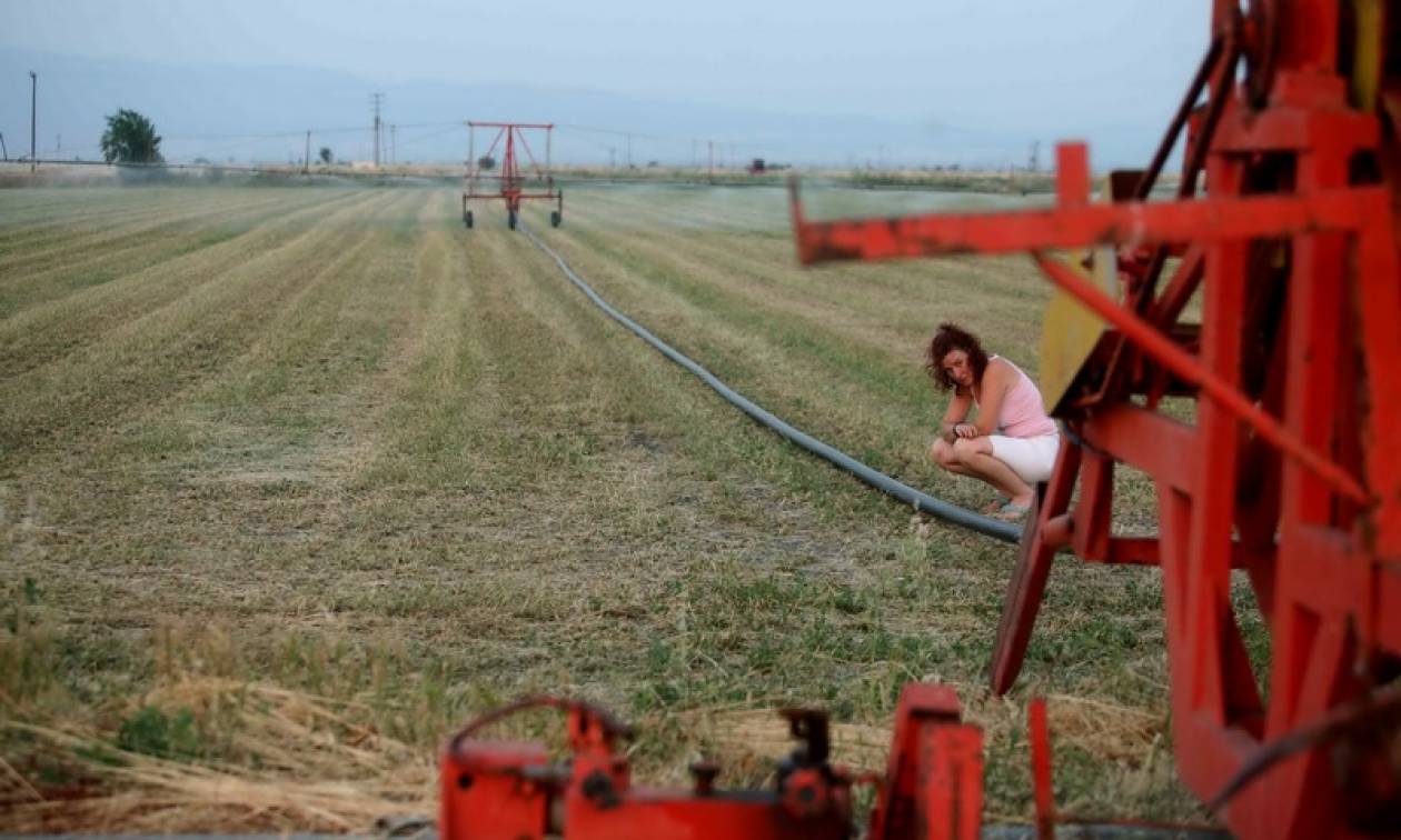 Κάρτα του Αγρότη: Οι παροχές της... «agrocarta» στους παραγωγούς