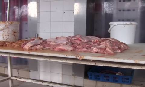 Σκάνδαλο: Κρέας πιθήκων - βαμμένες ελιές και «μαϊμού» ποτά που παράγονται στην Ελλάδα! (pics +video)