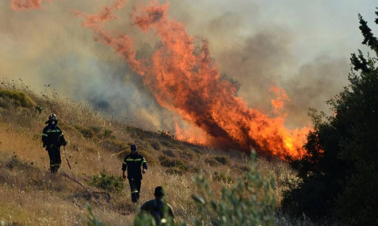 Υπό έλεγχο η μεγάλη φωτιά στην Ιεράπετρα