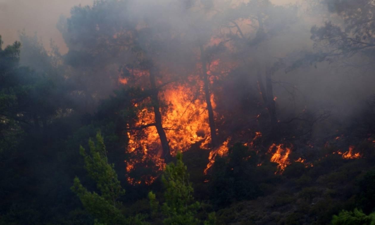 Σύλληψη για τη μεγάλη φωτιά στην Ιεράπετρα