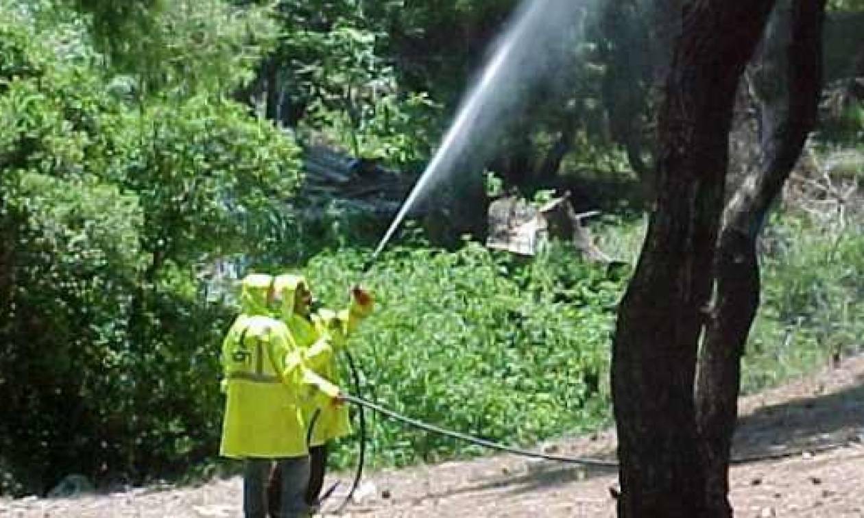 Πρόσληψη 900 ατόμων για το πρόγραμμα δακοκτονίας 2016